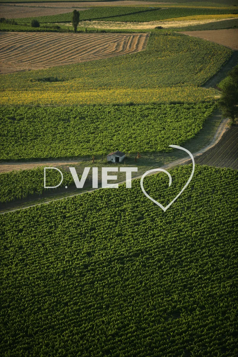 Photo TOULOUSE by VIET - 81ENTRE CORDES ET ALBI N44°00381 E001°59478 ©VIET 361.com