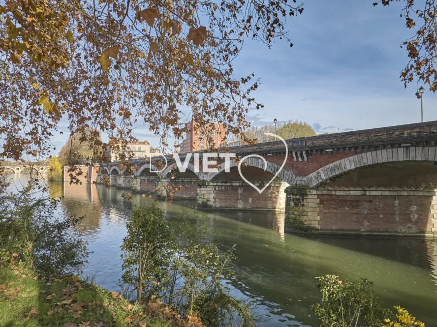 Photo TOULOUSE by VIET - Garonne et pont du halage de Tounis