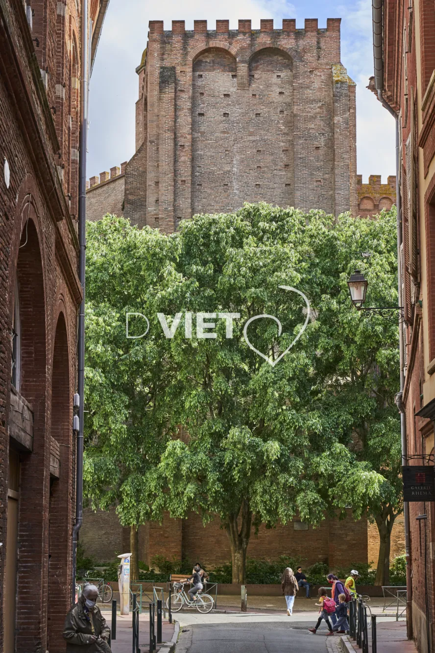 Photo TOULOUSE by VIET - VIET_013652