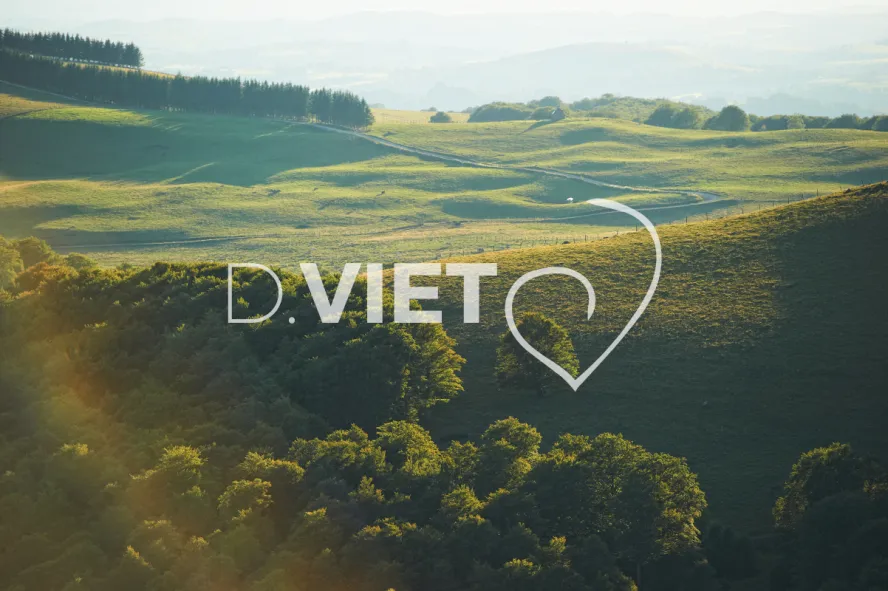 Photo TOULOUSE by VIET - VIET_005940