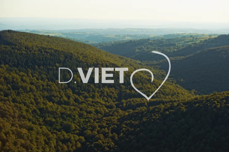 Photo TOULOUSE by VIET - St Chely d Aubrac