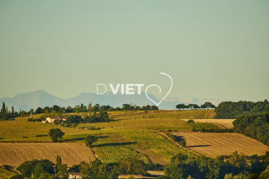 Photo TOULOUSE by VIET - LEVER DU SOLEIL