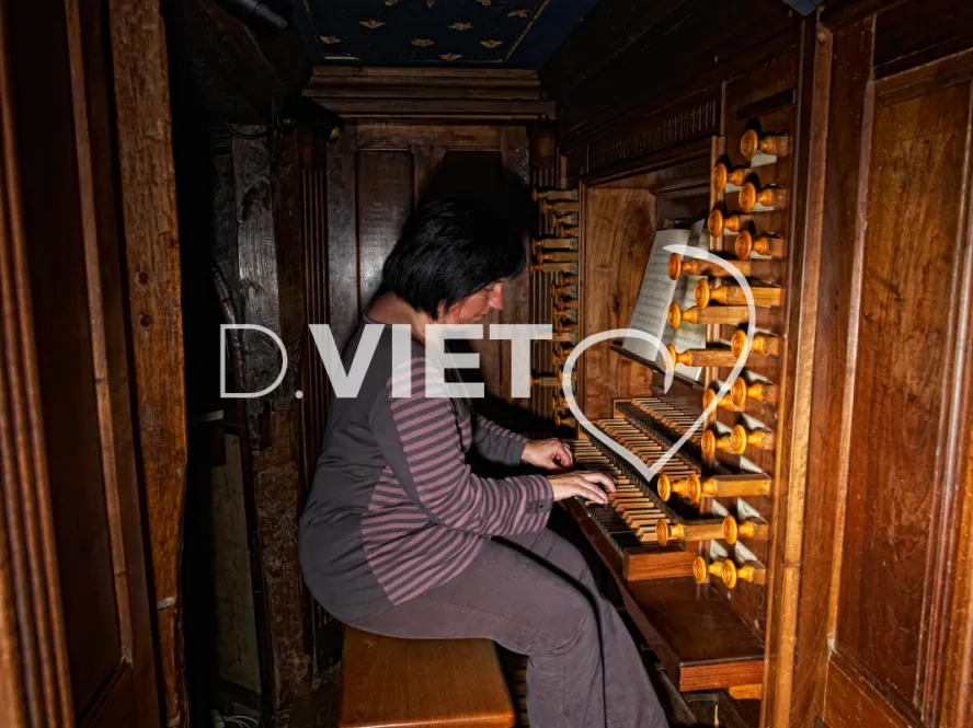 Photo TOULOUSE by VIET - Les Orgues