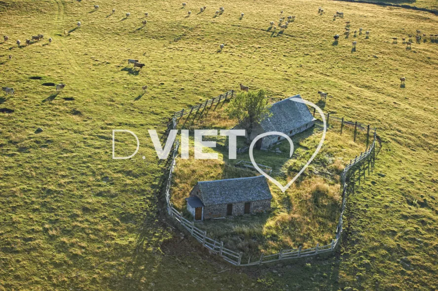 Photo TOULOUSE by VIET - Buron Aubrac