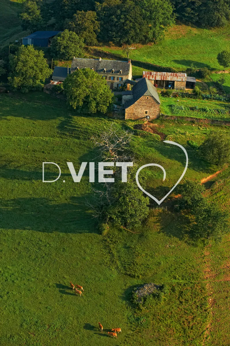 Photo TOULOUSE by VIET - La guiraldie