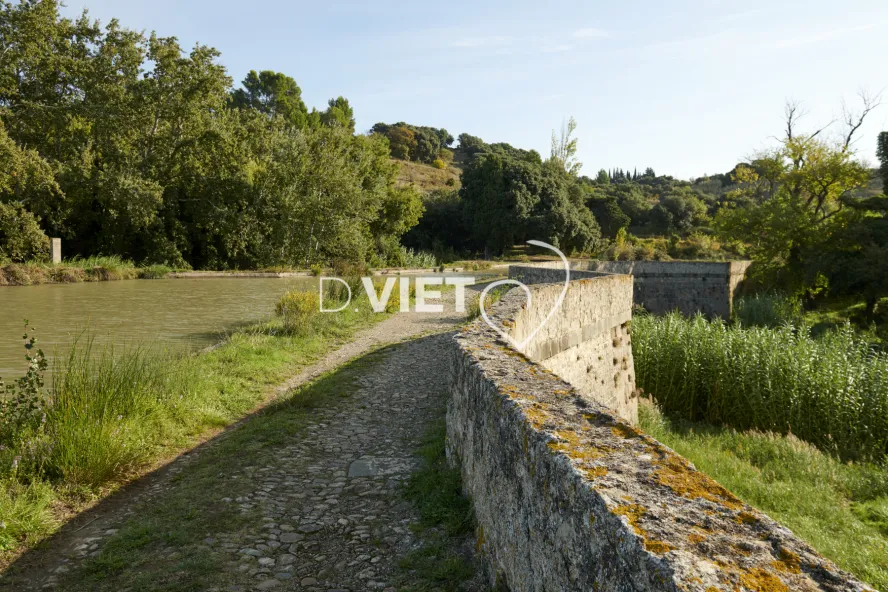 Photo TOULOUSE by VIET - REPRUDE