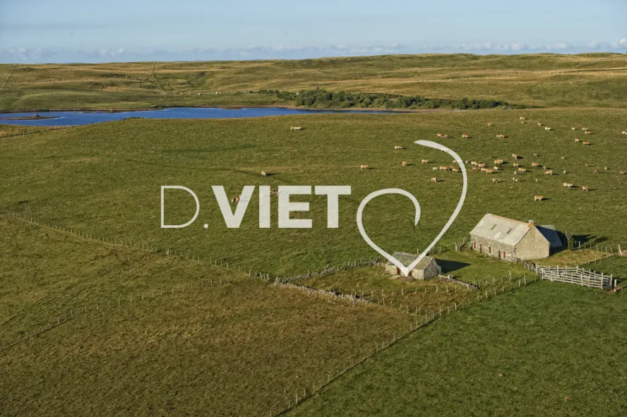 Photo TOULOUSE by VIET - Buron Aubrac