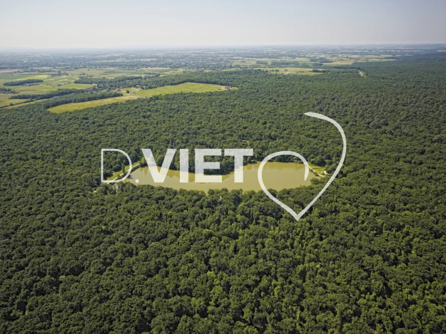 Photo TOULOUSE by VIET - Foret de Bouconne