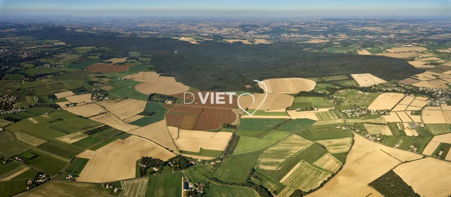 Photo TOULOUSE by VIET - FORET DE BOUCONNE