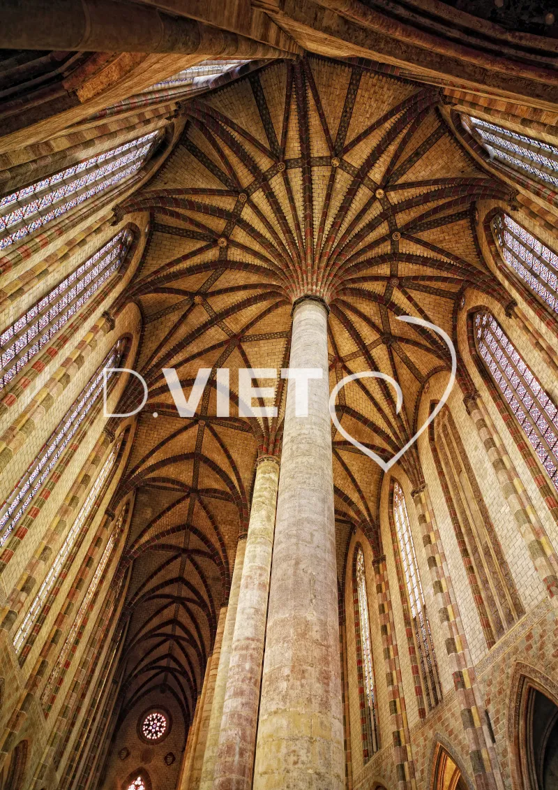 Photo TOULOUSE by VIET - Palmier des Jacobins