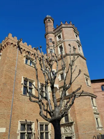 Photo TOULOUSE by VIET - Hhotel de Pierre Dahus