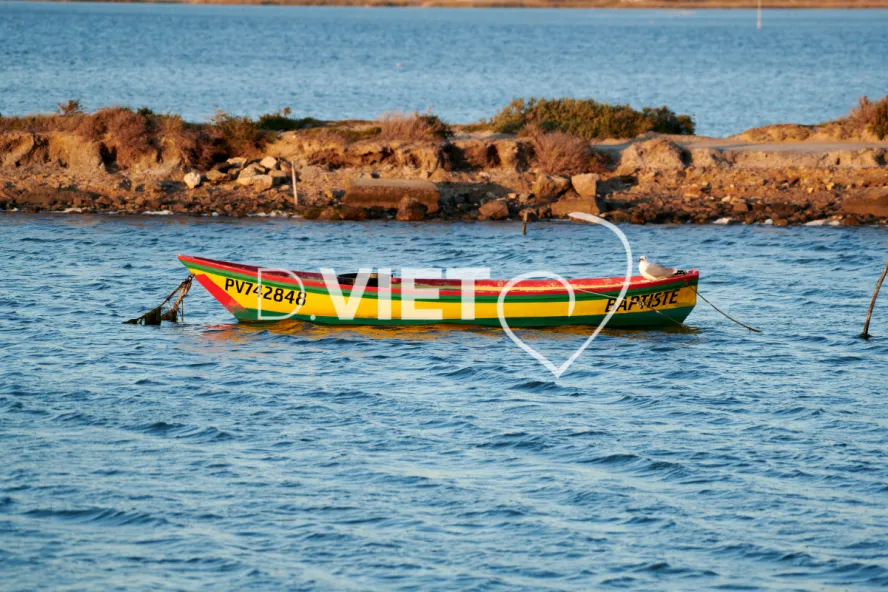 Photo TOULOUSE by VIET - Baptiste la mouette