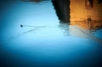 Photo TOULOUSE by VIET - Garonne Les quais