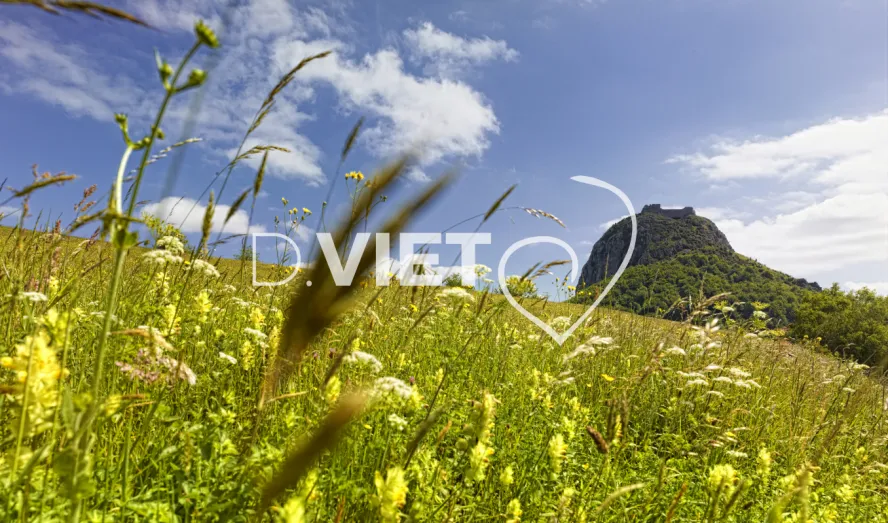 Photo TOULOUSE by VIET - Chateau Cathare Montsegur