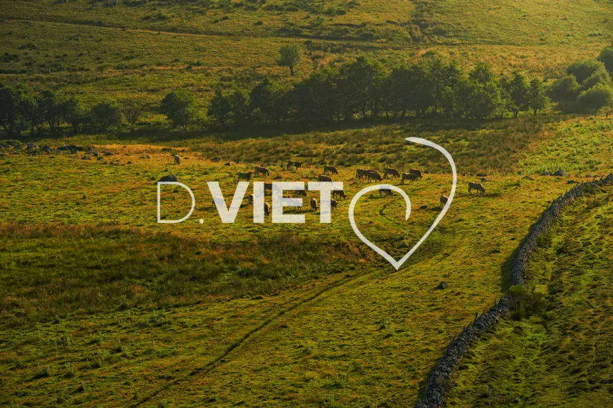 Photo TOULOUSE by VIET - estives