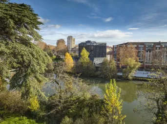 Photo TOULOUSE by VIET - Garonne et ramier