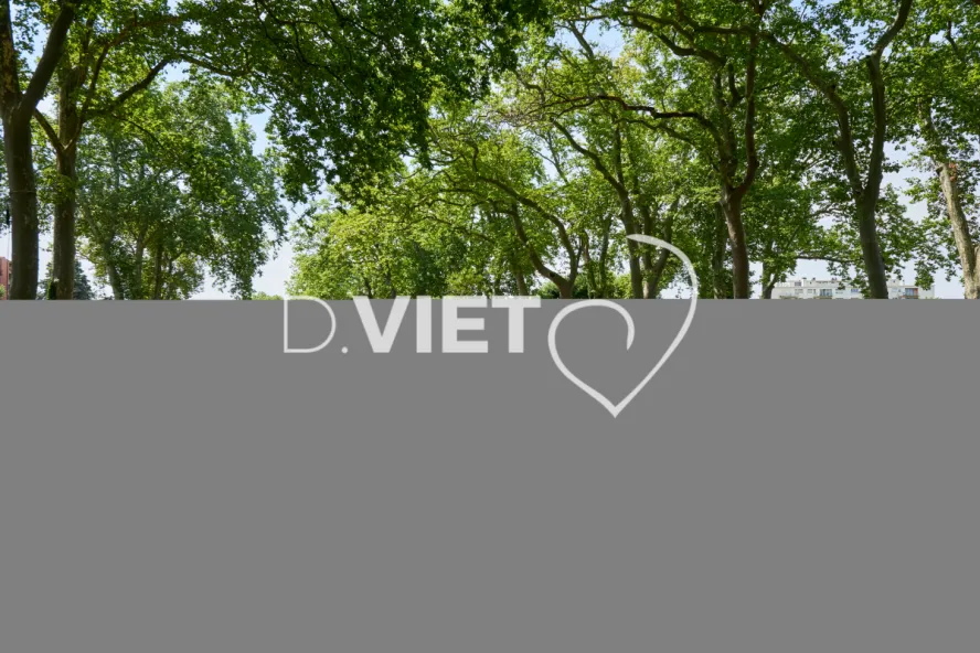 Photo TOULOUSE by VIET - Bateau sur canal du midi