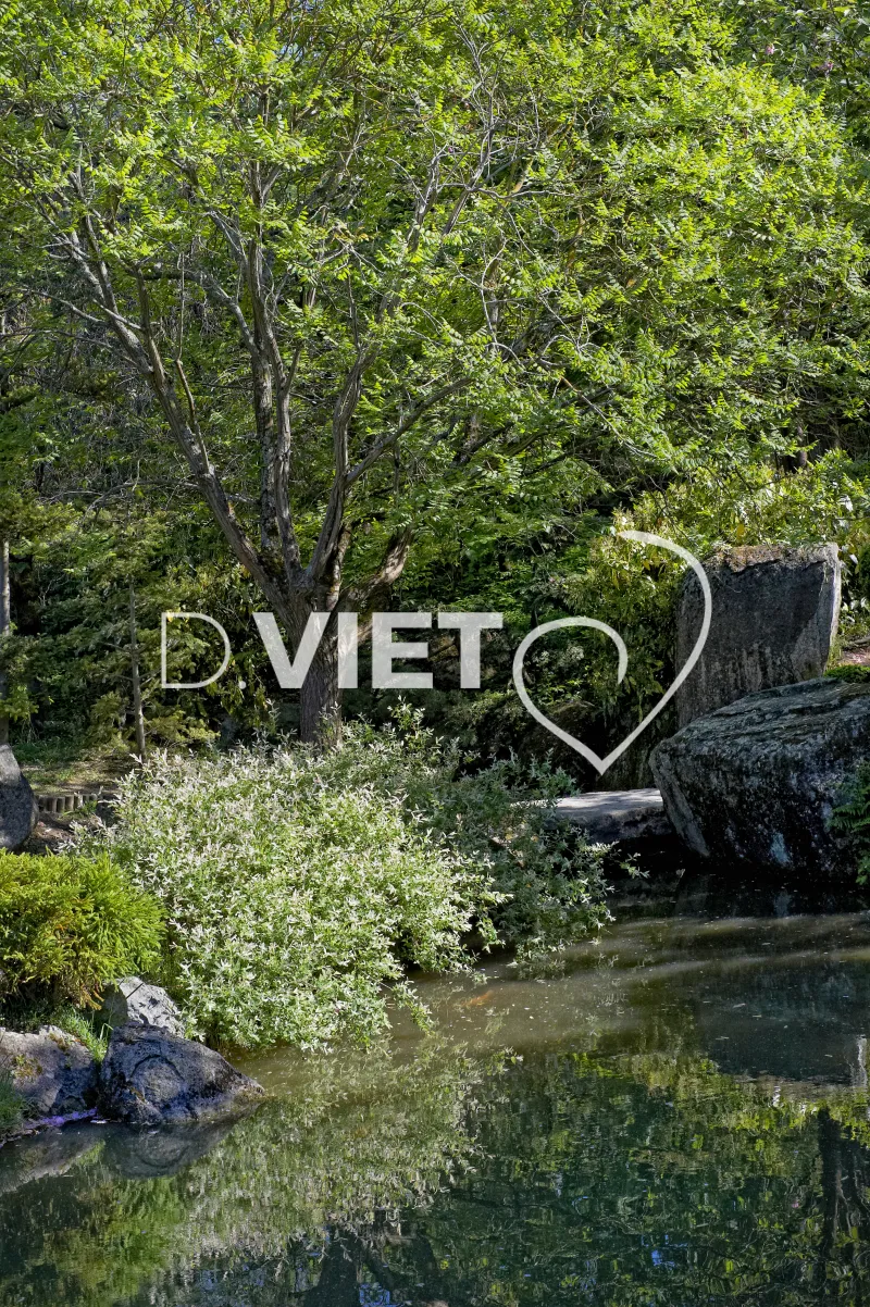 Photo TOULOUSE by VIET - Compans Caffarelli