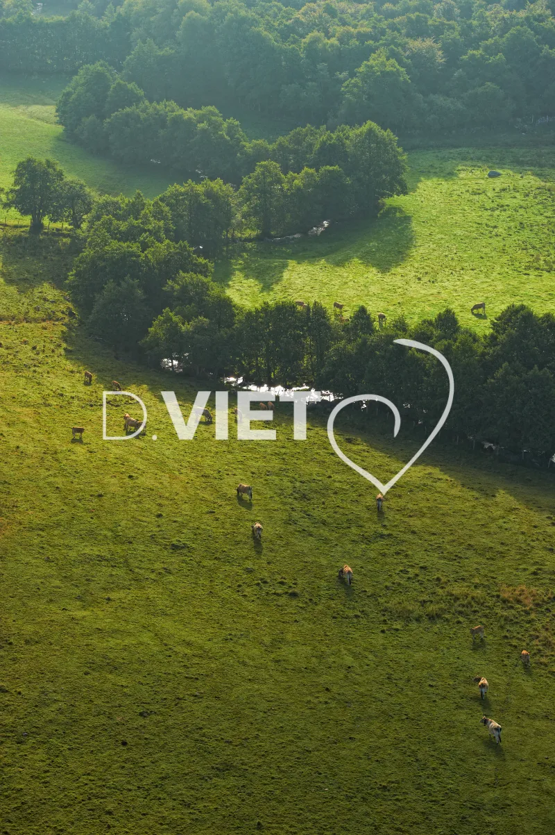 Photo TOULOUSE by VIET - Laguiole