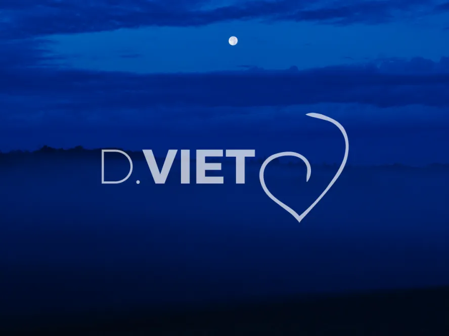 Photo TOULOUSE by VIET - BRUME