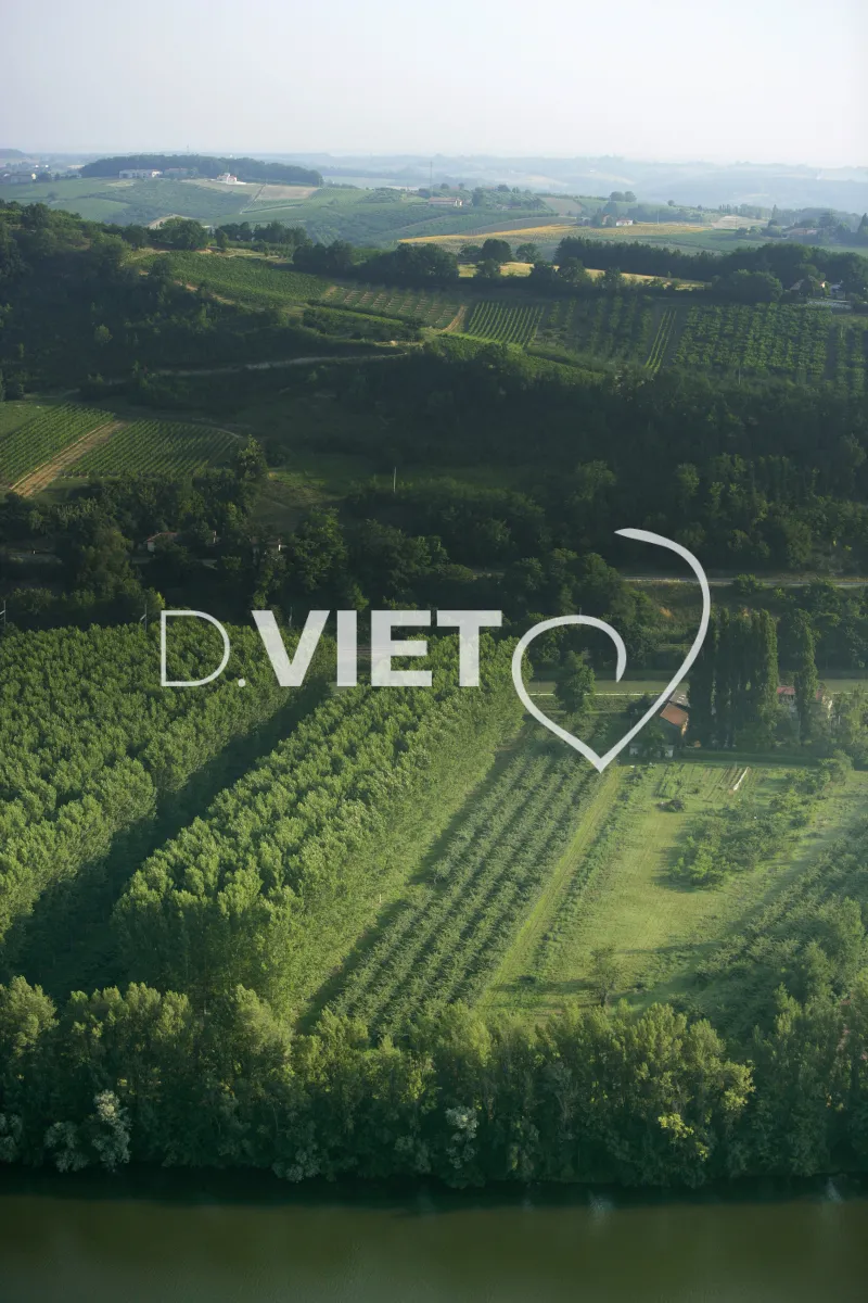 Photo TOULOUSE by VIET - 82 VERS BOUDOU LE TARN ©VIET 361.com