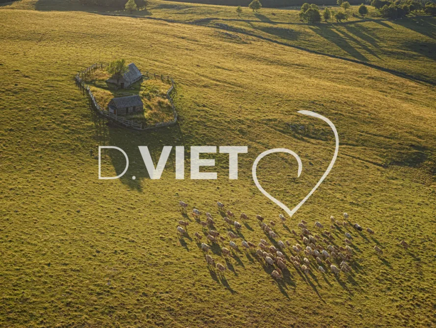 Photo TOULOUSE by VIET - Buron Aubrac