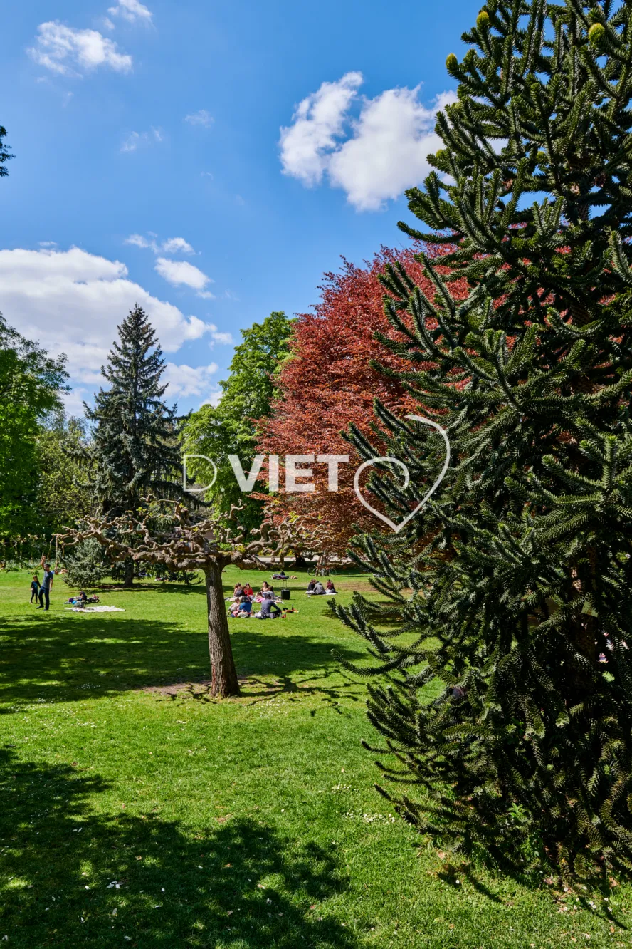 Photo TOULOUSE by VIET - Jardin des plantes