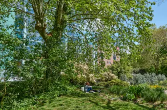 Photo TOULOUSE by VIET - Jardin Japonais