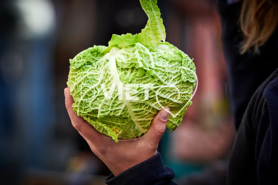 Photo TOULOUSE by VIET - MARCHE SAINT AUBIN