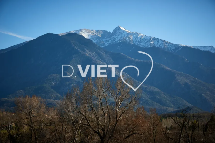 Photo TOULOUSE by VIET - CANIGOU