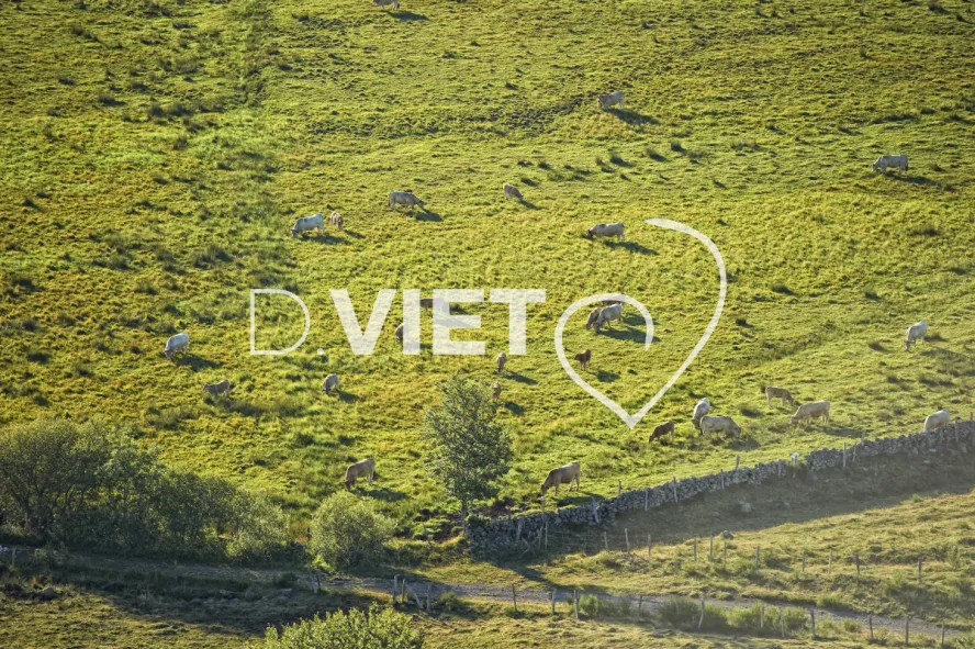 Photo TOULOUSE by VIET - Buron Aubrac