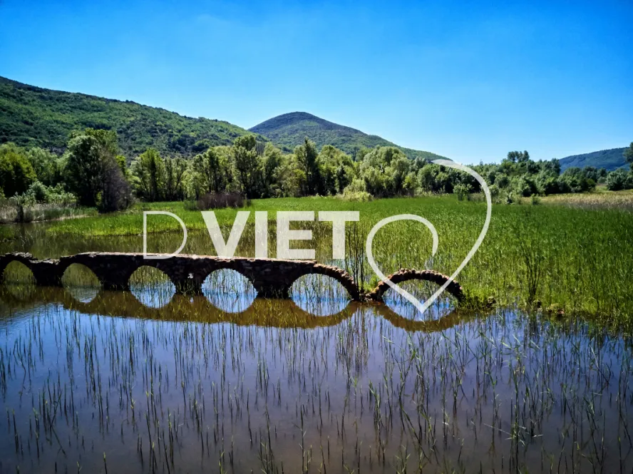 Photo TOULOUSE by VIET - LAC DU SALAGOU Marais