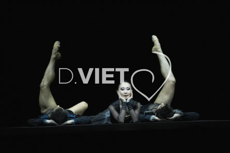 Photo TOULOUSE by VIET - Ballet du capitole