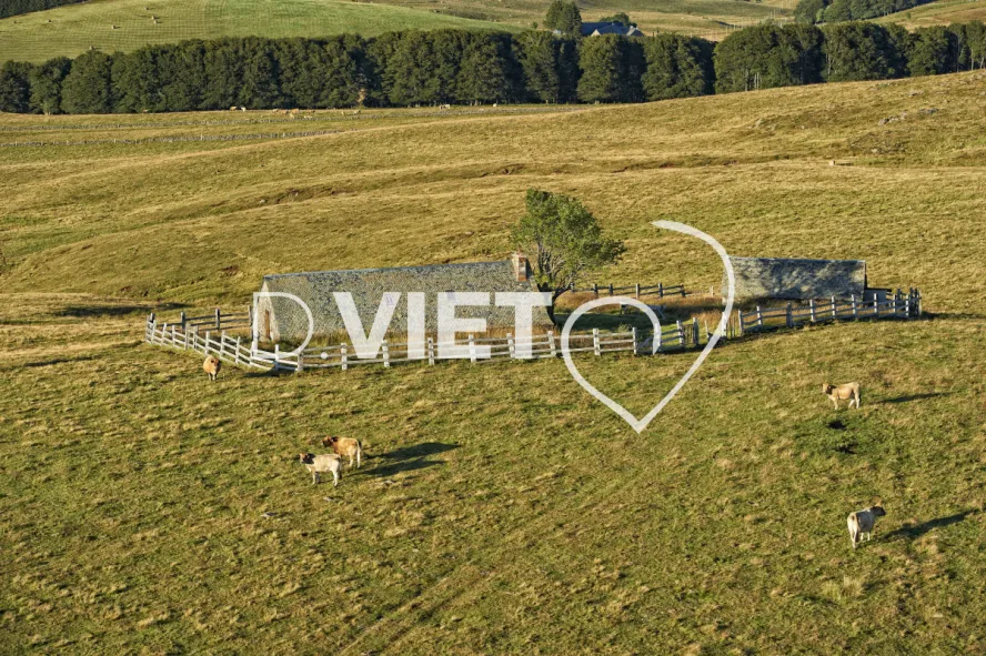 Photo TOULOUSE by VIET - Buron Aubrac