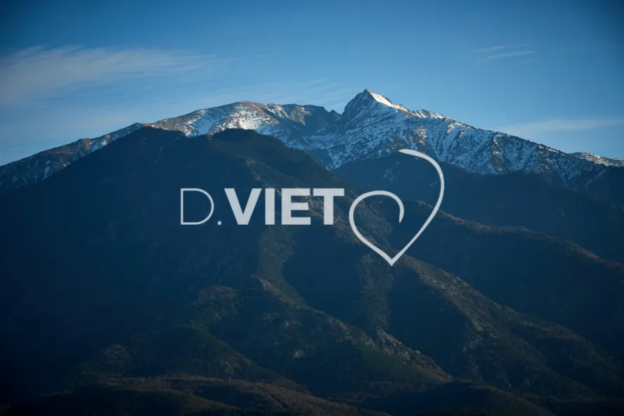 Photo TOULOUSE by VIET - CANIGOU