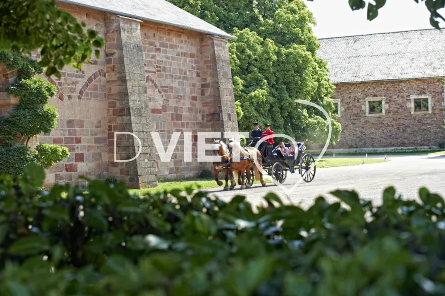 Photo TOULOUSE by VIET - Haras de Rodez