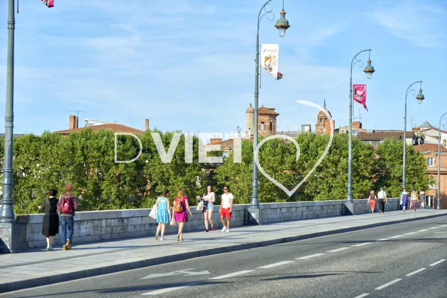 Photo TOULOUSE by VIET - Vue du Pont Neuf quais