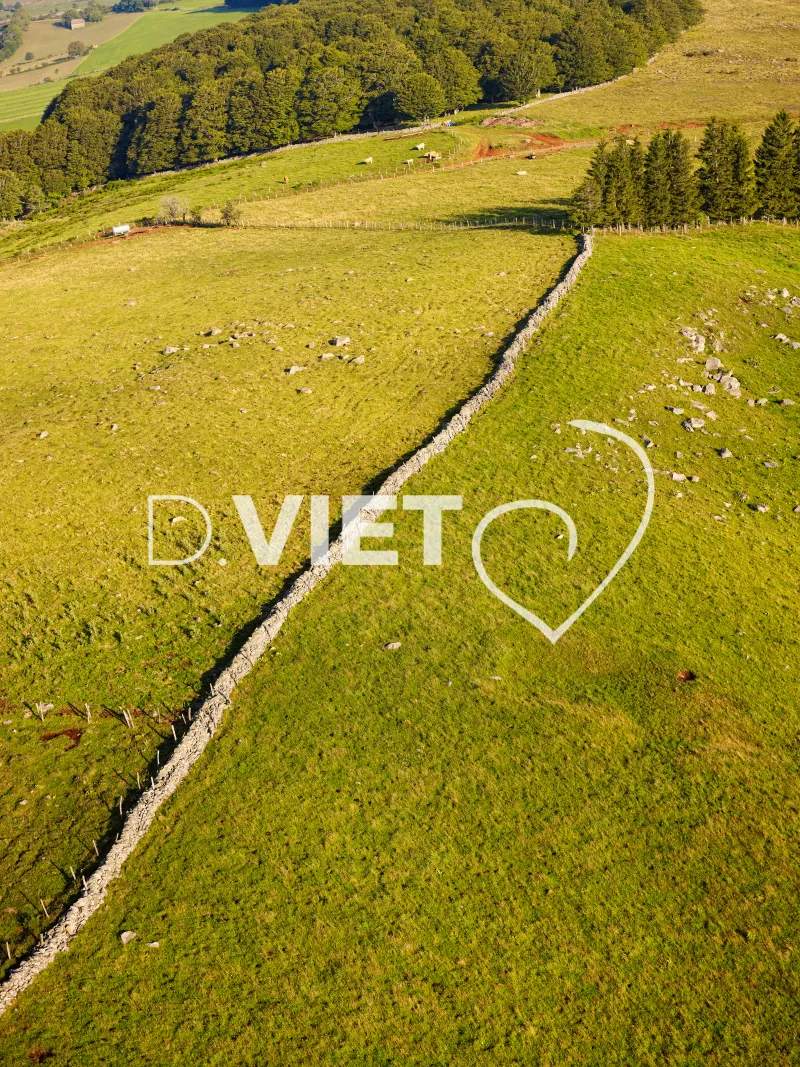 Photo TOULOUSE by VIET - VIET_005909