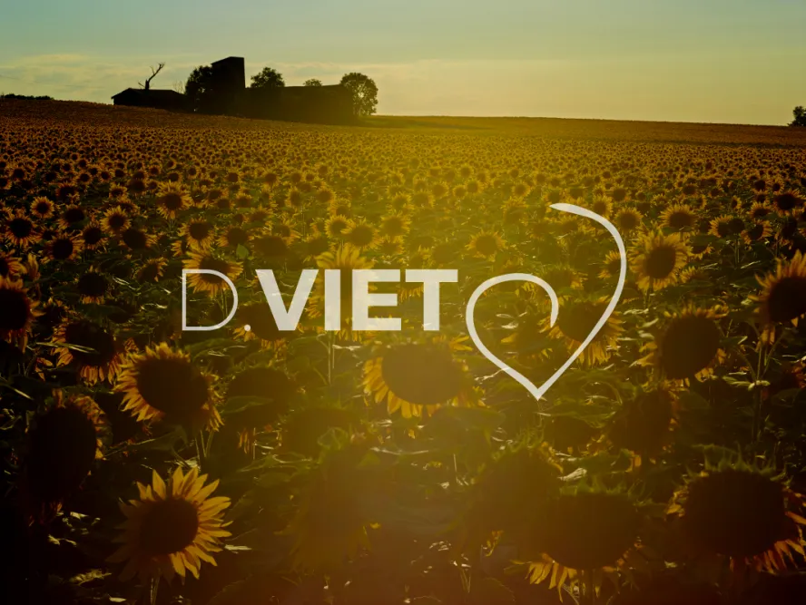 Photo TOULOUSE by VIET - VIET_007949