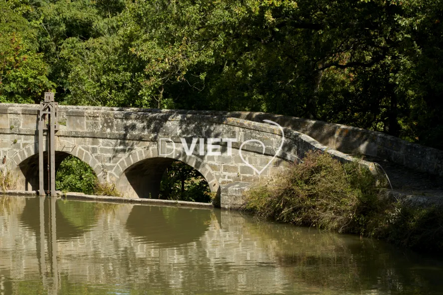 Photo TOULOUSE by VIET - EPANCHOIR DE L’ARGENT DOUBLE