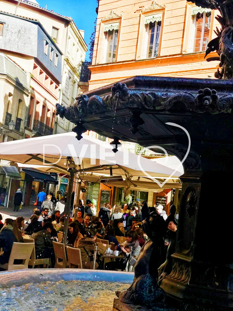 Photo TOULOUSE by VIET - VIET_008497