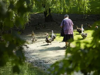 Photo TOULOUSE by VIET - Jardin des plantes