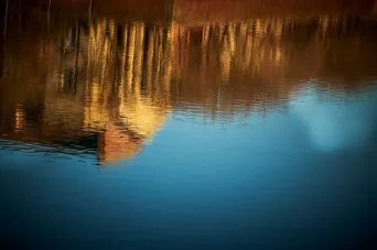 Photo TOULOUSE by VIET - Garonne Les quais