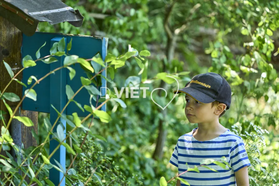 Photo TOULOUSE by VIET - SICOVAL