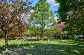Photo TOULOUSE by VIET - Jardin des plantes