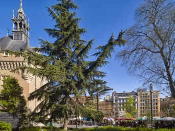 Photo TOULOUSE by VIET - Square Charles de Gaulle