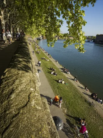 Photo TOULOUSE by VIET - Daurade