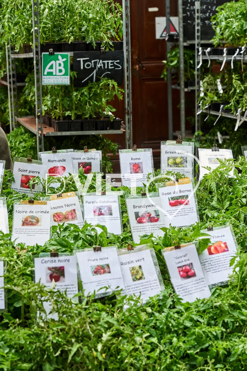 Photo TOULOUSE by VIET - VIET_008896