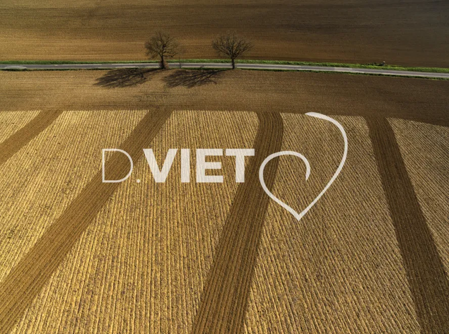 Photo TOULOUSE by VIET - TRACES