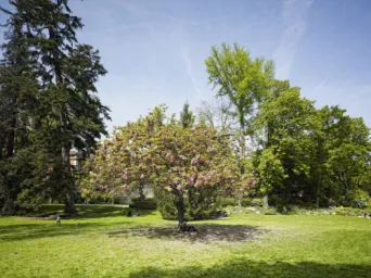 Photo TOULOUSE by VIET - jardin des plantes